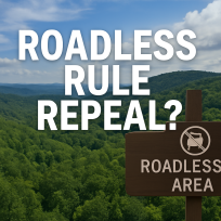 ROADLESS RULE RESCISSION COULD IMPACT THOUSANDS OF FOREST ACRES IN APPALACHIA