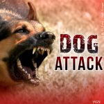 FATAL DOG ATTACK IN GREENE COUNTY