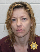 ERWIN WOMAN CHARGED IN BURGLARY CASE INVOLVING STOLEN GUNS