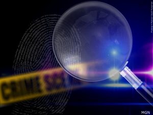 VEHICLE THEFT INVESTIGATION