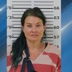 NONPROFIT EXECUTIVE CHARGED AFTER WRONG-WAY CRASH ON I-26